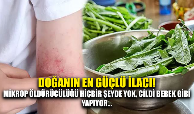 Doğanın en güçlü ilacı!