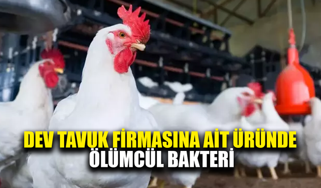 Dev tavuk firmasının ürününden ölümcül bakteri çıktı