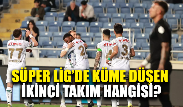 Süper Lig'de küme düşen ikinci takım hangisi?