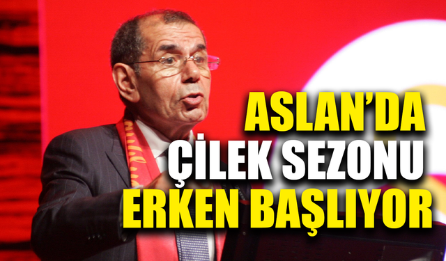 Galatasaray'da çilek sezonu erken başladı