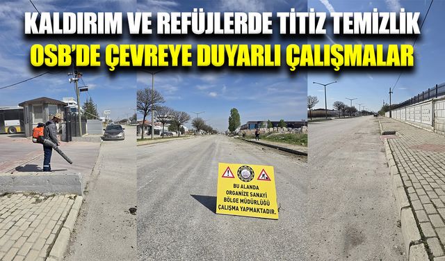 Afyonkarahisar OSB’de çevre düzenleme ve temizlik çalışmaları devam ediyor