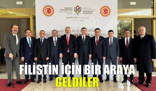 Vekil Yurdunuseven Filistin davasına destek veren ülkelerle bir araya geldi
