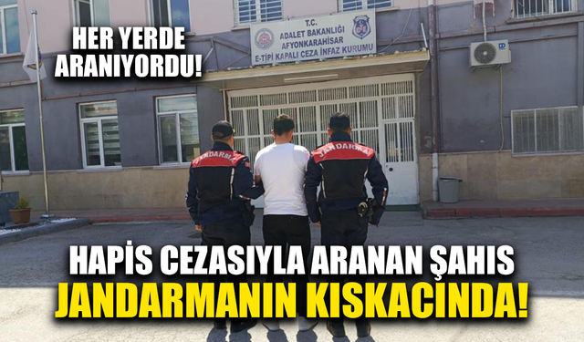Hapis cezasıyla aranan şahıs jandarmanın kıskacında!