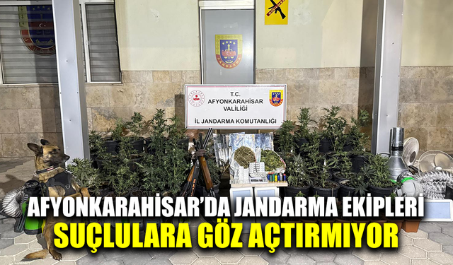 Afyonkarahisar'da jandarmadan başarılı uyuşturucu operasyonu
