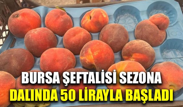 Bursa şeftalisi sezona dalında 50 lirayla başladı