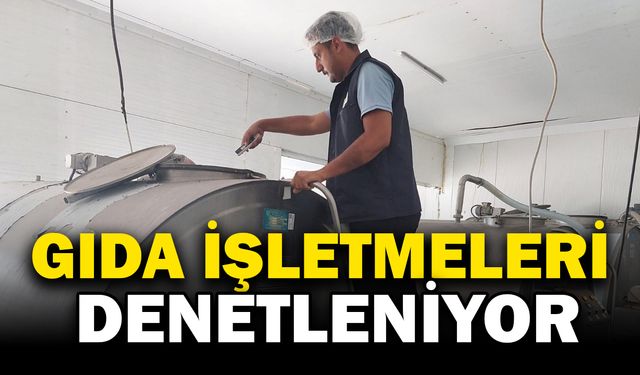 Gıda işletmelerine yönelik denetim