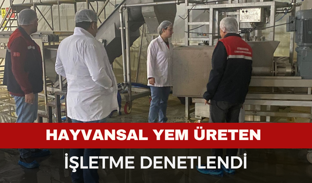 Hayvansal yem üreten işletmeye yönelik denetim