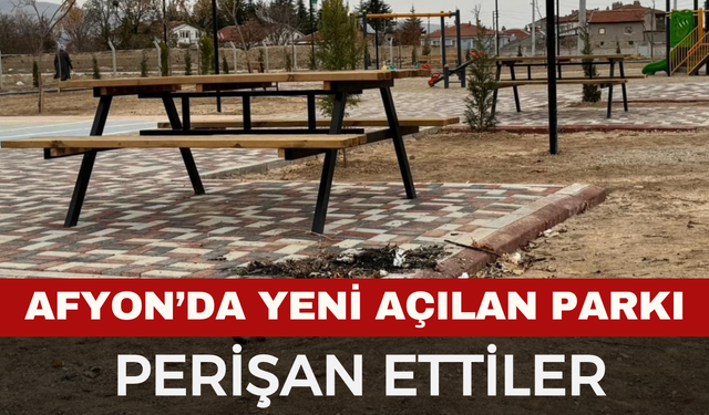Afyon'da yeni açılan parkı perişan ettiler