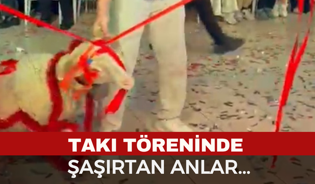 Damada verilen hediyeye herkes şaştı kaldı