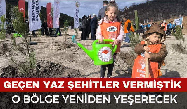 Yangında Şehitler Vermiştik... Şimdi Yeniden Yeşerecek