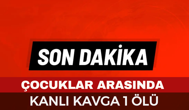 Afyonkarahisar'da kanlı kavga