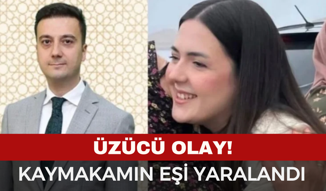 Üzücü Olay: Kaymakamın Eşi Silah Temizlerken Yaralandı