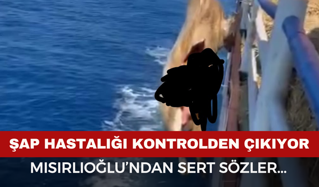 Mısırlıoğlu: "Türk Hayvancılığı Bilinçli Şekilde Çökertiliyor"