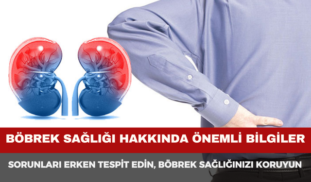Böbrek Sağlığı Rehberi: Kronik Böbrek Hastalığı ve Erken Teşhis Yolları