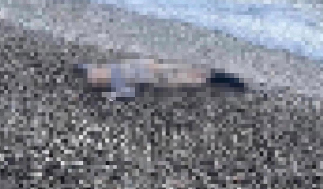 Son Dakika! İzmir'de Deniz Kenarında Çocuk Cesedi Bulundu