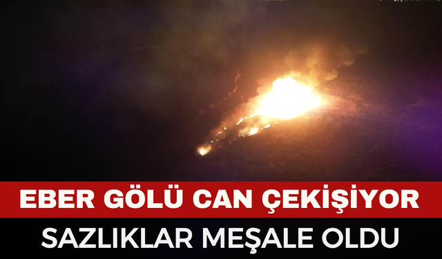 Eber Gölü Can Çekişiyor