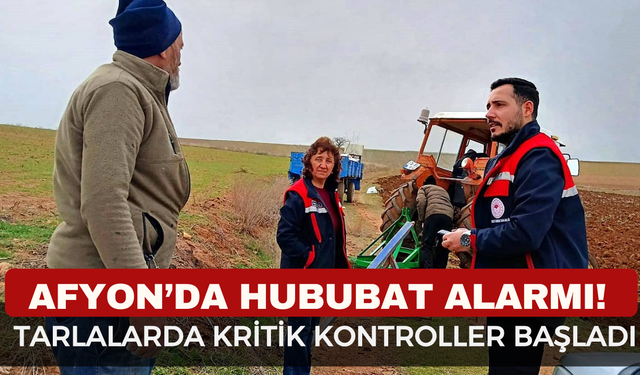Afyonkarahisar’da Hububat Alarmı! Tarlalarda Kritik Kontroller Başladı