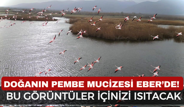 Eber Gölü'nde Görsel Şölen: Pembe Flamingolar Bolvadin Semalarında Görüntülendi!