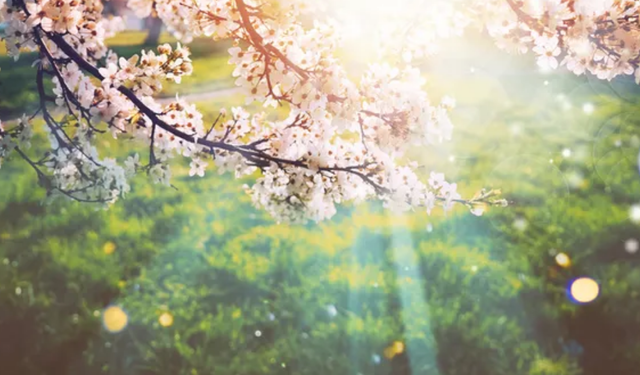 İlk Cemre Yarın Düşüyor, Cemre Ne Demek, Cemre Düşünce Ne Oluyor