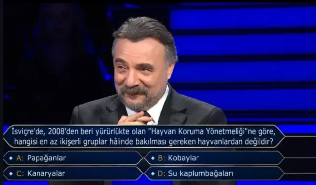 İSVİÇRE'DE, 2008'DEN BERİ YÜRÜRLÜKTE OLAN "HAYVAN KORUMA YÖNETMELİĞİ"NE GÖRE, HANGİSİ EN AZ İKİŞERLİ GRUPLAR HÂLİNDE BAKILMASI GEREKEN HAYVANLARDAN DEĞİLDİR?