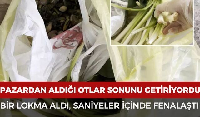 Pazardan aldığı otlar sonunu getiriyordu! Bir lokma aldı, saniyeler içinde fenalaştı