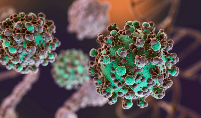 RSV Nedir, Belirtileri Nelerdir? RSV tedavisi nasıldır? Bebeklerde RSV nasıl iyileşir?