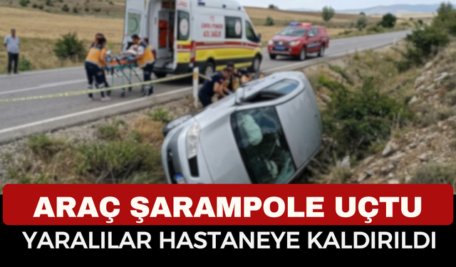 Afyon'da Kaza: Taşoluk'ta Araç Şarampole Uçtu