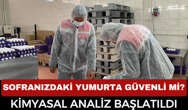 Afyonkarahisar’da Yumurta Paketleme Tesislerine Sıkı Denetim: Kimyasal Kalıntı Takibi Başladı!