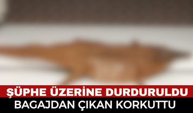 Kent Girişinde Sıra Dışı Kaçakçılık: Araçtan Çıkan Şey Polisi Bile Hayrete Düşürdü