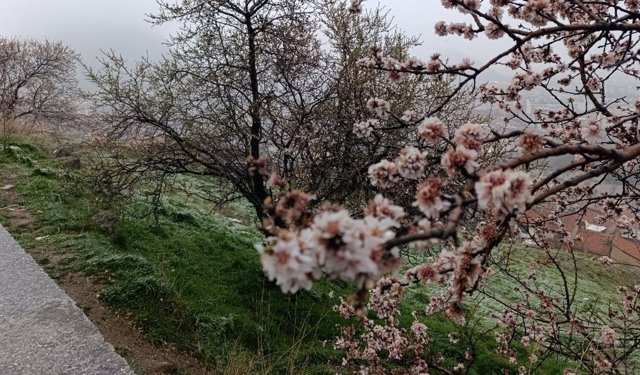 Hıdırlık ve Kent Ormanı Kar Altında: Afyon Merkezde Karla Karışık Yağmur Etkili, Yollarda Durum Nasıl?