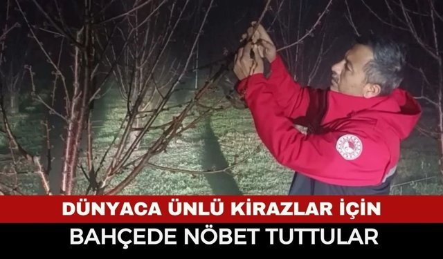 Afyonlu Üreticinin Zor Gecesi: Zirai Dona Karşı Nöbet Tuttular! Çiftçiler Kiraz Bahçelerinde Ateş Yaktı