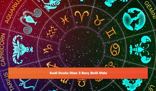 Kedi Dostu Olan 3 Burç Belli Oldu
