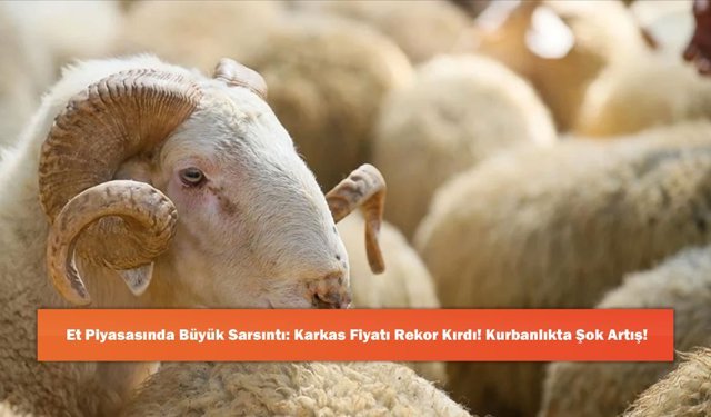 Et Piyasasında Büyük Sarsıntı: Karkas Fiyatı Rekor Kırdı! Kurbanlıkta Şok Artış!
