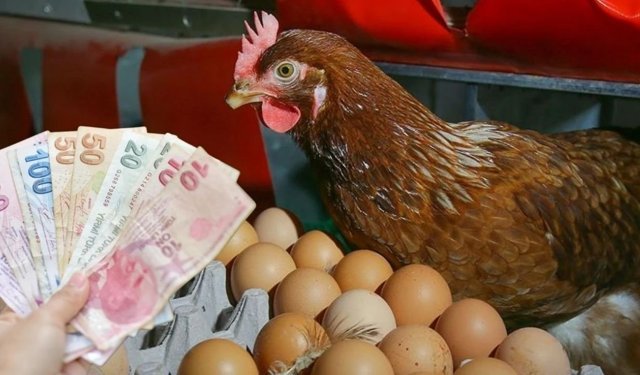 O markette 30'lu yumurtanın fiyatı düştü! Sadece yetişen alıyor