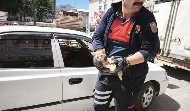 Afyon'da Heyecan Dolu Anlar! İnatçı Yavru Kediden İtfaiyecilere Sürpriz: İlk Araçtan Çıktı, İtfaiye Erinin Aracına Kaçtı