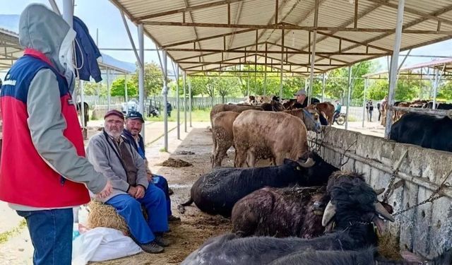 Afyon'da arefe günü denetim mesaisi: Hayvan pazarlarında kontroller sürüyor