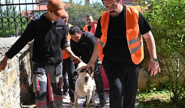 Emirdağ’da bayram dayanışması: İhtiyaç sahibi 98 aileye canlı kurbanlık ulaştırıldı