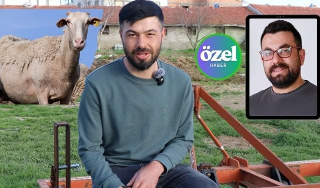 Afyon'da Genç Girişimcinin Başarı Hikayesi... Asgari Ücretli Çalışmaktansa, 5 Koyunla Kendi İşini Kurdu