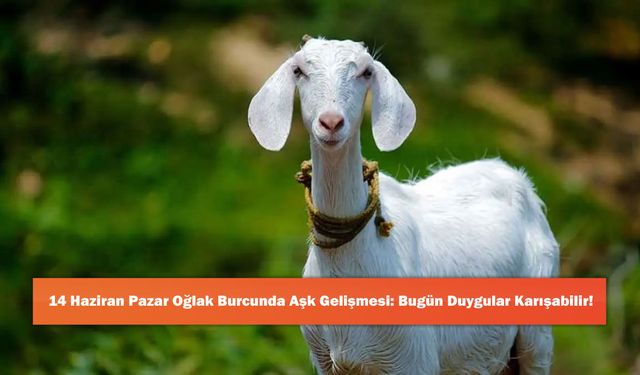 14 Haziran Pazar Oğlak Burcunda Aşk Gelişmesi: Bugün Duygular Karışabilir!