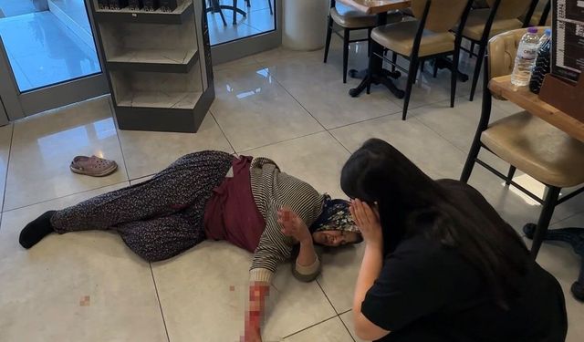 Afyon'da Kan Donduran Köpek Saldırısı: Tekme ve Sandalyeler Kar Etmedi, Sağlık Ekiplerini Bile Engelledi!