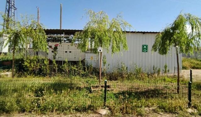 Sandıklı’da öğrencilerden örnek proje: Kuşlar için yuvalar ağaçlara yerleştirildi