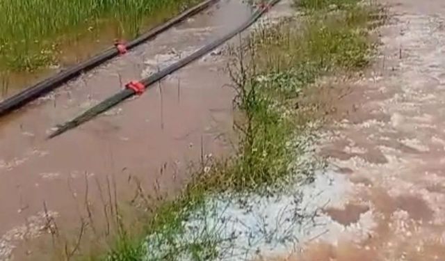 Afyonkarahisar’ı dolu vurdu: Tarlalarda hasar tespitine başlandı