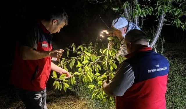 Afyon’da şiddetli yağış sonrası hasar tespiti için saha incelemesi başladı