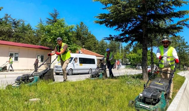 Afyonkarahisar’da yeşil alanlar için yaz temizliği: Çim biçme ve ot temizliği sürüyor