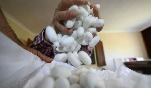 Emekli öğretmenin hobi diye başladığı işten kazandığı bir aylık para dudak uçuklattı