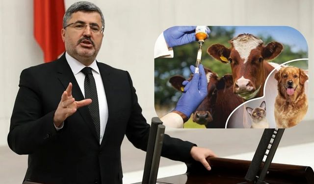 Afyonkarahisar Milletvekili Ali Özkaya Veterinerlerin Sesi Oldu: Tarihi Düzenleme Yasalaştı!