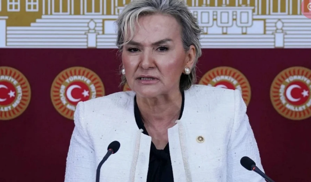 CHP İstanbul Milletvekili Nimet Özdemir kimdir? Nimet Özdemir kaç yaşında, nereli, asıl mesleği ne?