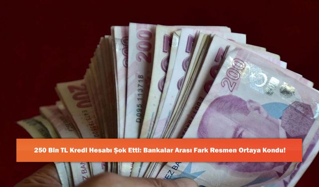 250 Bin TL Kredi Hesabı Şok Etti: Bankalar Arası Fark Resmen Ortaya Kondu!