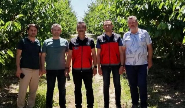 Tarımda güç birliği: Afyonkarahisar ile Bursa'dan ortak çalışma