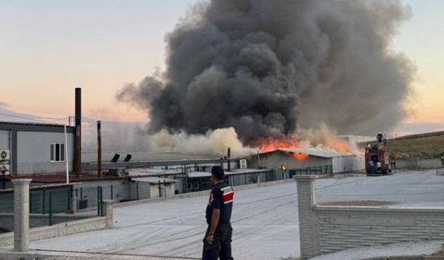 Şuhut OSB’de korkutan yangın! Sucuk fabrikasından yükselen dumanlar ilçeyi kapladı...